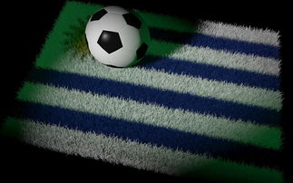 体育新闻中心支持多语言赛事报道发布，体育新闻台词