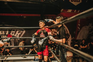 国足球员技术动作标准化训练，足球技术动作要领